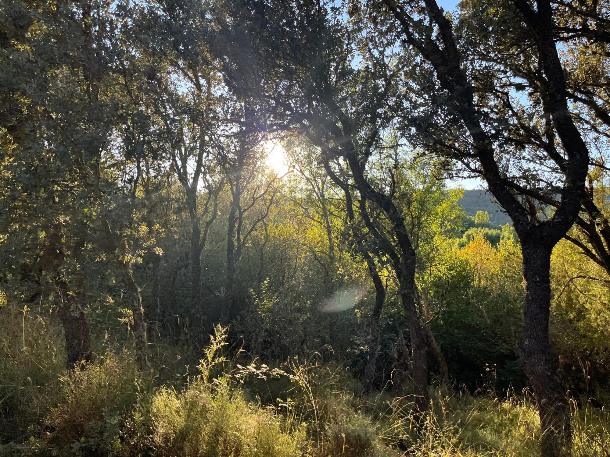הוילה Canicosa Casa Menta מראה חיצוני תמונה